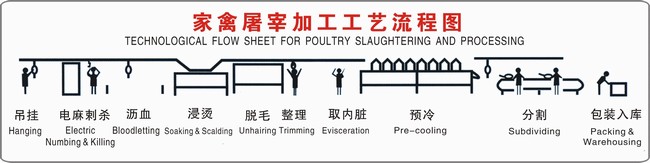 家禽屠宰加工工艺流程图